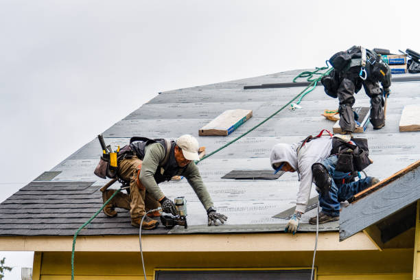 Professional Gutter Installation technician working in Pelham, GA